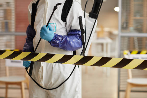 Professional Infectious Disease Decontamination technician working in East Northport, NY